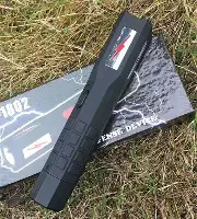 包含重磅：莫兰特即将开启常规赛调的词条